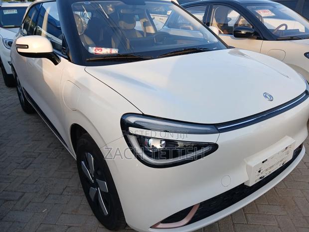 New Dongfeng Nammi 01 2024 White