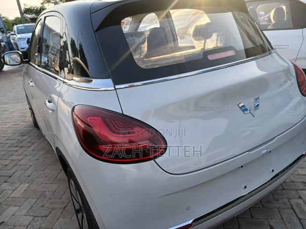 New Dongfeng Nammi 01 2024 White