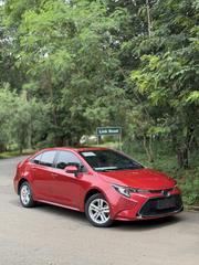 Toyota Corolla XLE 2020 Red for sale