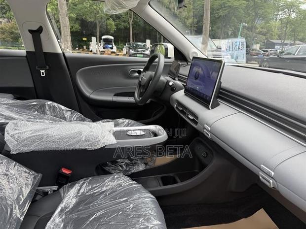 New Dongfeng Nammi 01 2025 White