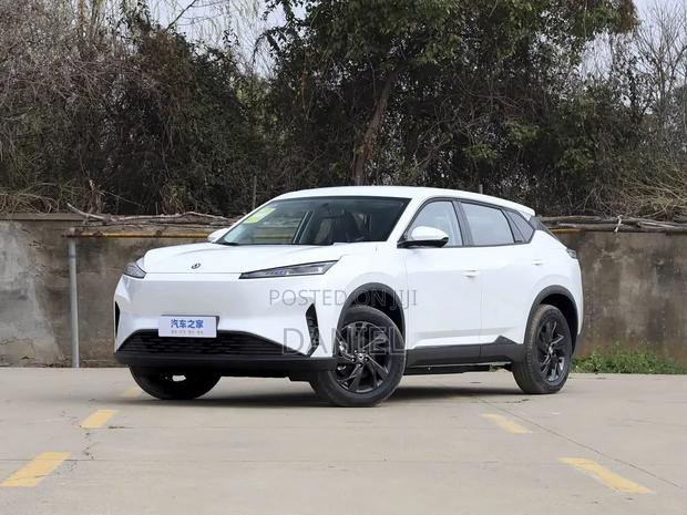 New Dongfeng Yipai 008 2025 White