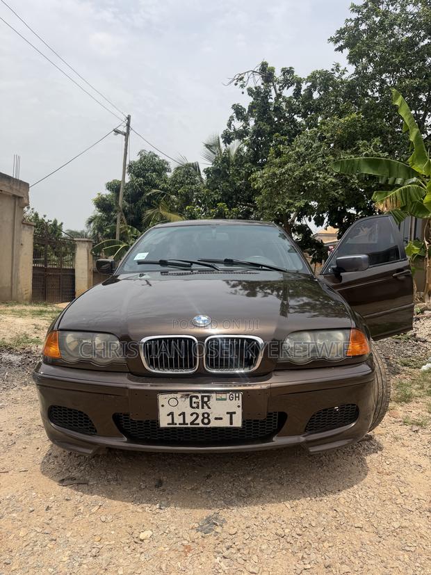 BMW 3 Series 318i RWD 2001 Brown