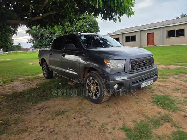 Toyota Tundra 2012 Gray