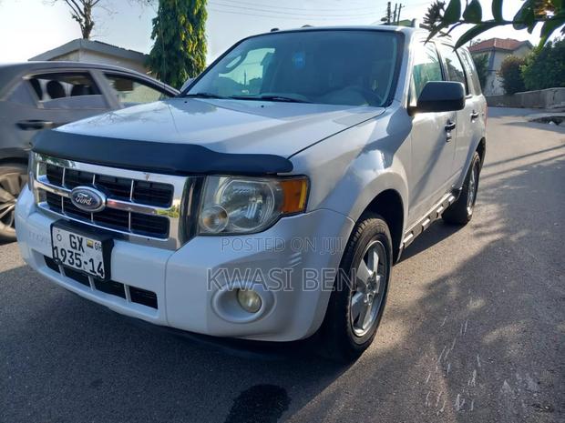 Ford Escape 2010 White