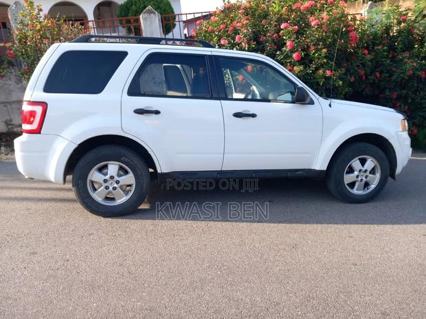 Ford Escape 2010 White
