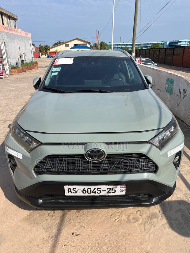 Toyota RAV4 XLE AWD 2020 Gray