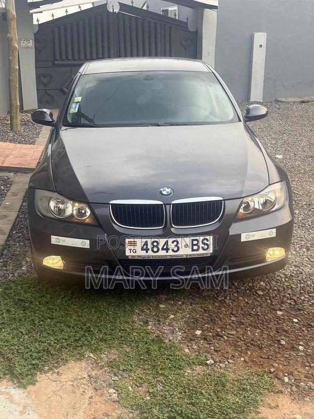 BMW 318i 2010 Gray