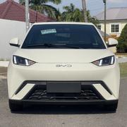New BYD Seagull 2024 Off white for sale
