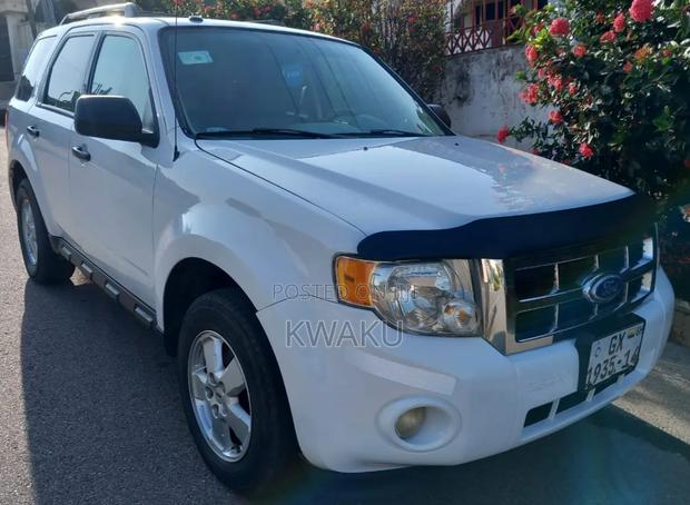 Ford Escape 2010 White