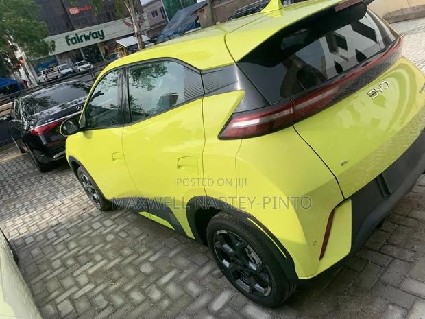 New BYD Seagull 2025 Green