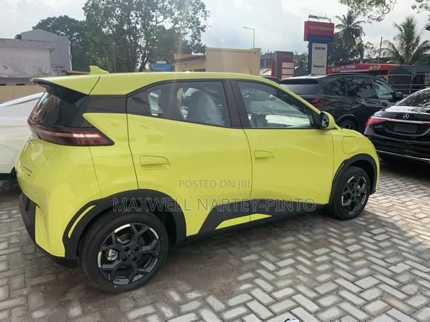 New BYD Seagull 2025 Green
