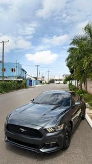 Ford Mustang EcoBoost Premium Fastback 2019 for sale