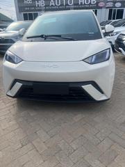New BYD Seagull 30 kWh FWD 2024 White for sale