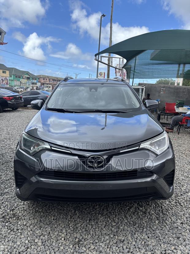 Toyota RAV4 LE AWD 2019 Gray