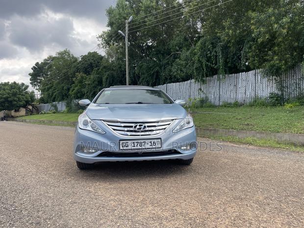 Hyundai Sonata 2010 Blue
