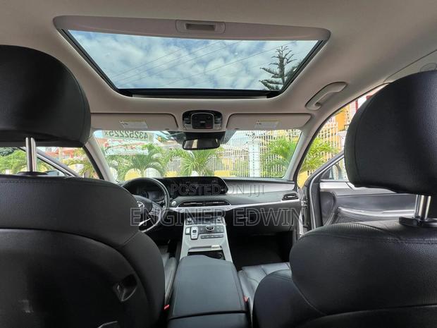 Hyundai Palisade 2021 Brown