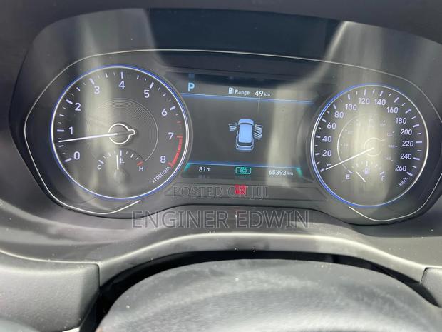 Hyundai Palisade 2021 Brown
