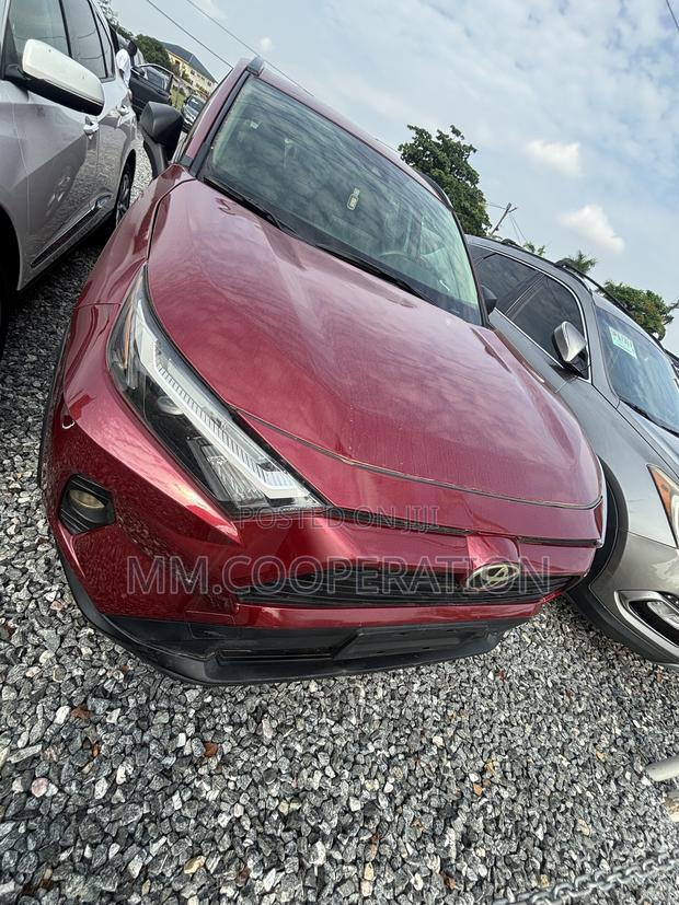 Toyota RAV4 LE AWD 2019 Red