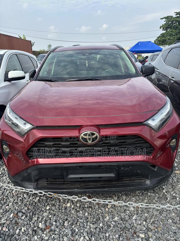 Toyota RAV4 LE AWD 2019 Red