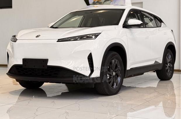 Dongfeng Captain 2024 White