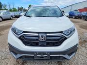 Honda CR-V 2020 White for sale
