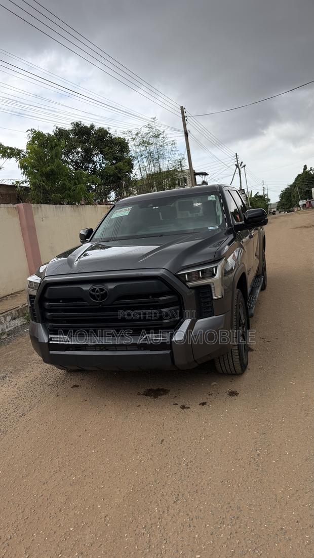 Toyota Tundra 2024 Gray