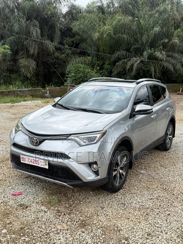 Toyota RAV4 XLE 4dr SUV (2.5L 4cyl 6A) 2018 Silver