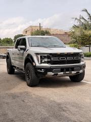 Ford F-150 Raptor 2024 Gray for sale