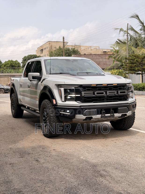 Ford F-150 Raptor 2024 Gray