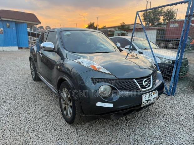 Nissan Juke 2011 Gray