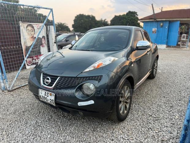 Nissan Juke 2011 Gray