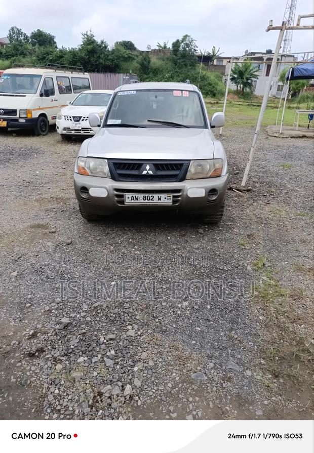 Mitsubishi Pajero 2005 Gray
