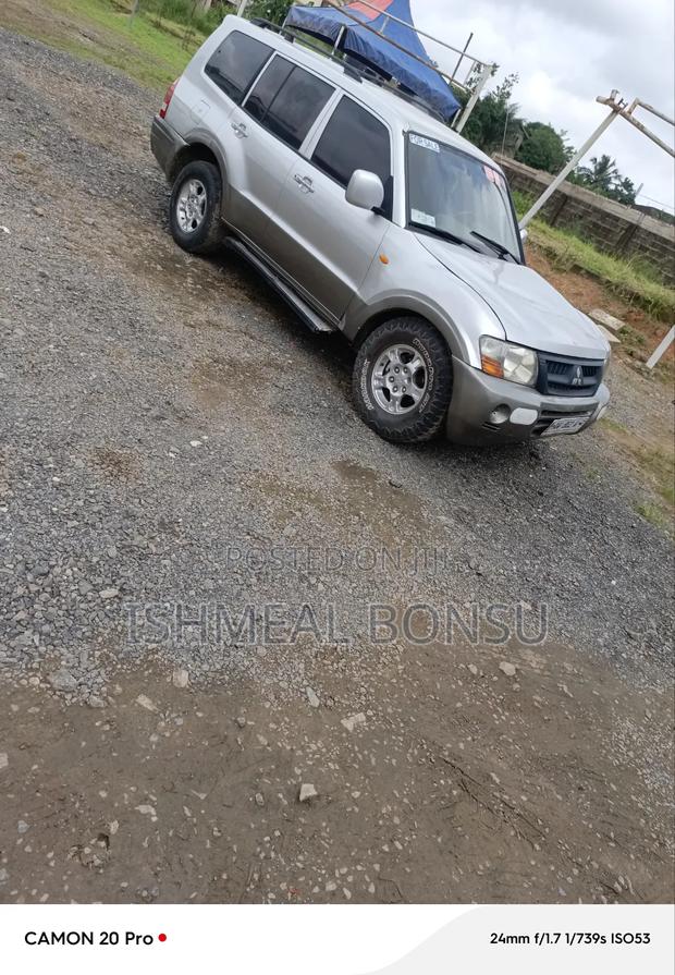 Mitsubishi Pajero 2005 Gray