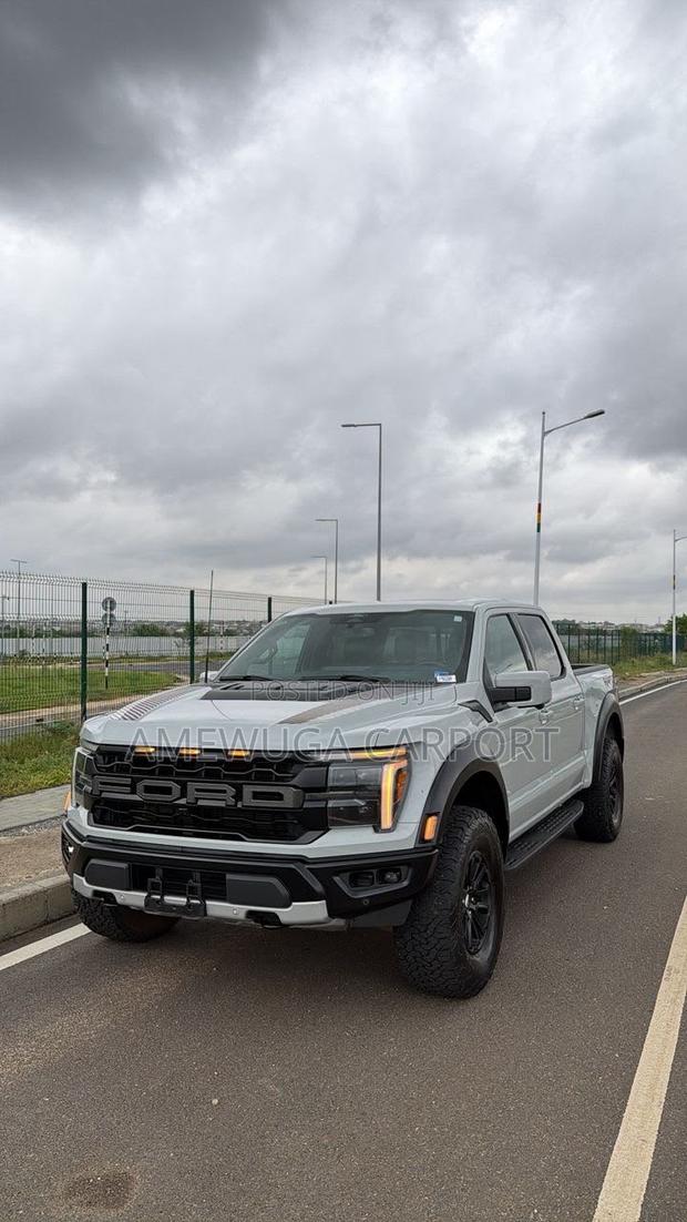 Ford F-150 Raptor 2024 Silver
