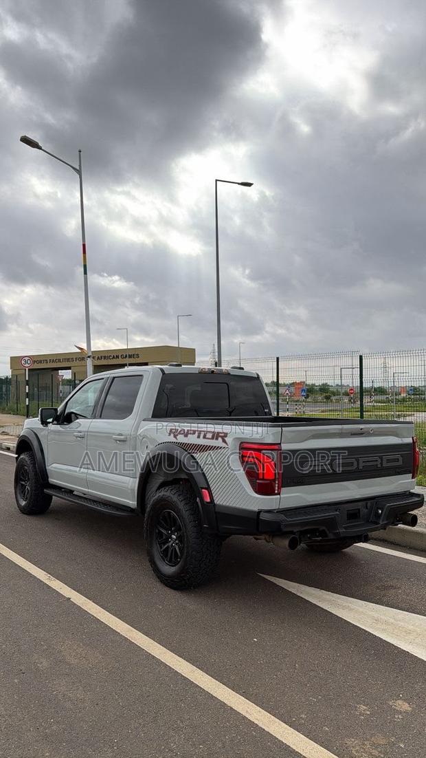 Ford F-150 Raptor 2024 Silver