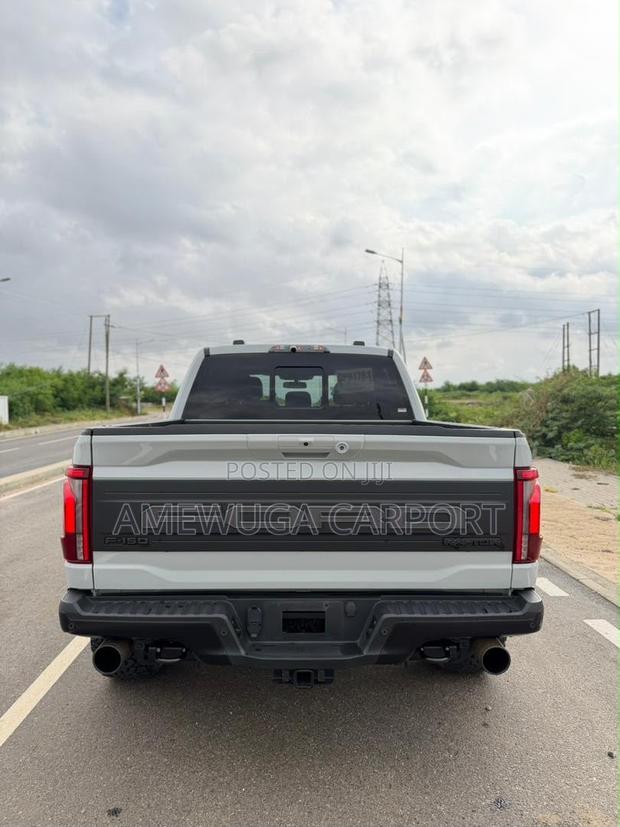 Ford F-150 Raptor 2024 Silver