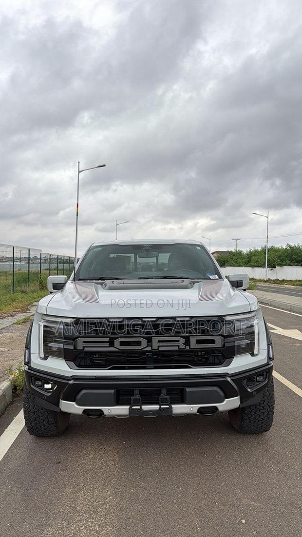 Ford F-150 Raptor 2024 Silver