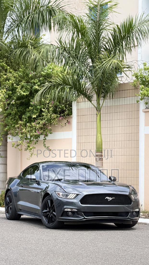 Ford Mustang EcoBoost Fastback 2019 Gray