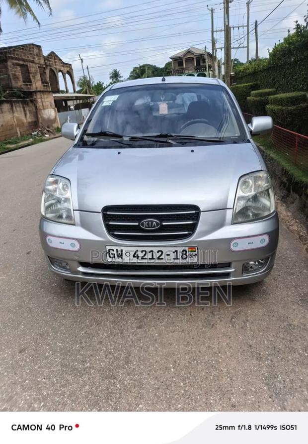 Kia Picanto 2007 Gray