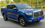 Great Wall Pao 2020 Blue for sale