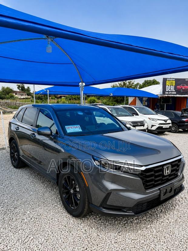 Honda CR-V EX AWD 2025 Gray