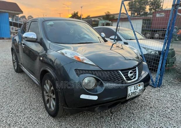 Nissan Juke 2011 Gray