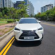 Lexus NX 200t AWD 2016 White for sale