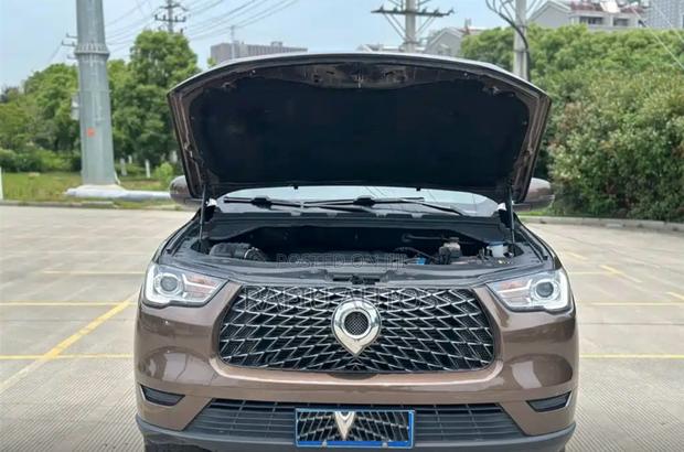 Great Wall Pao 2020 Brown