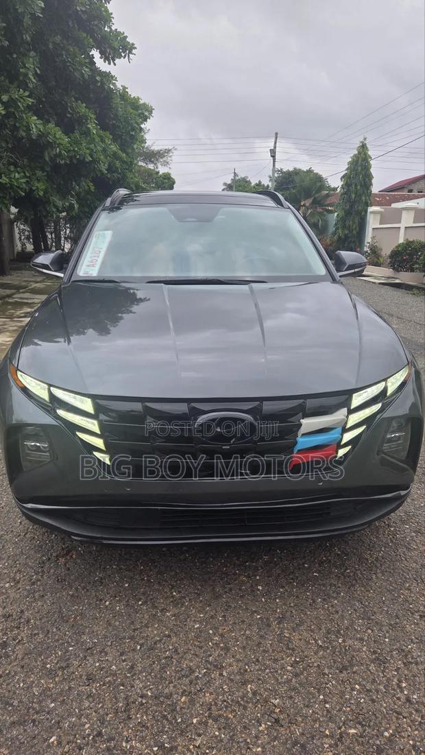 Hyundai Tucson Limited 2022 Gray