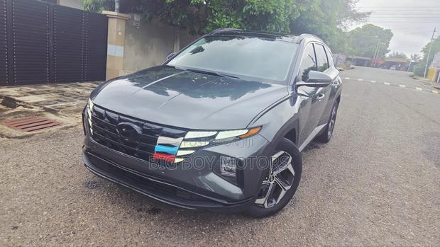 Hyundai Tucson Limited 2022 Gray