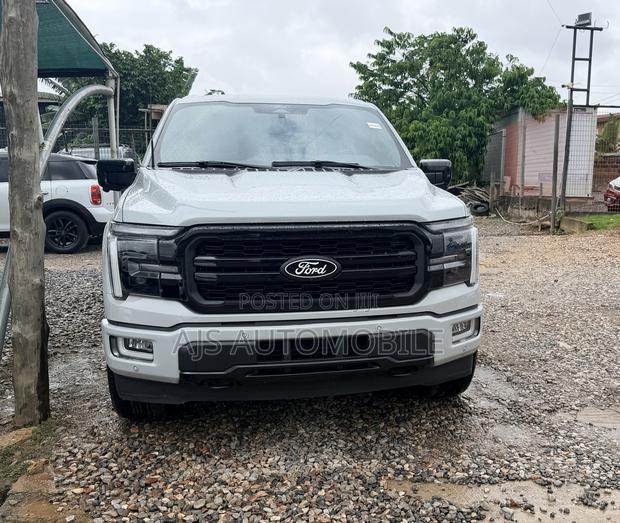Ford F-150 LARIAT 2024 Gray
