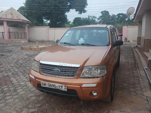 Ford Escape 2008 Orange