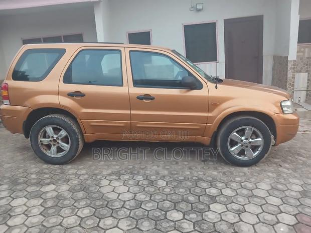 Ford Escape 2008 Orange