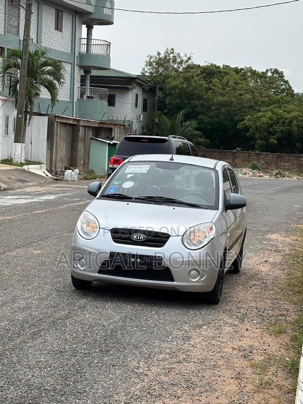 Kia Picanto 2010 Gray